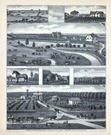 Philip Unitt, Pleasant View Stock Farm and Residence, Levi Hafer, Walnut Grove, Seward, Nebraska State Atlas 1885